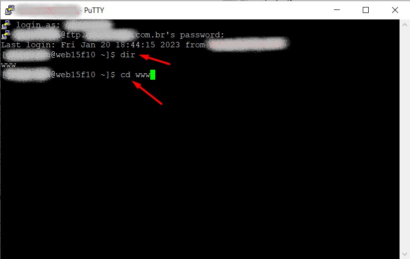 Como excluir arquivos e pastas via ssh usando o aplicativo Putty