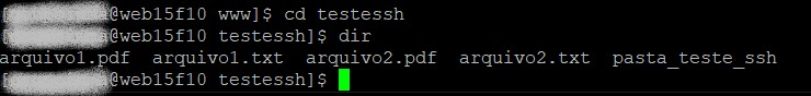 Veja como deletar arquivos e pastas via ssh