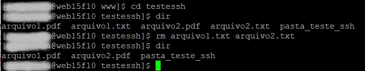 Saiba como deletar arquivos e pastas via ssh usando Putty