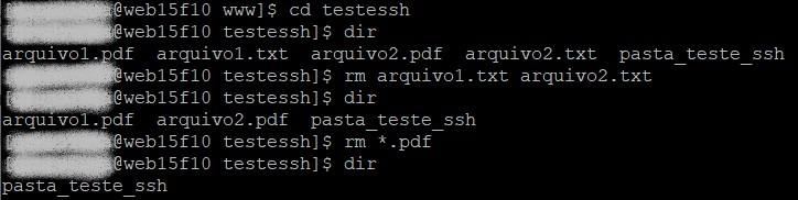 como deletar arquivos e pastas via ssh usando o app Putty