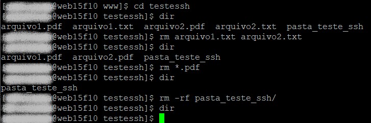veja como deletar arquivos e pastas via ssh usando o app Putty
