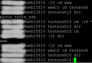 aprenda como deletar arquivos e pastas via ssh